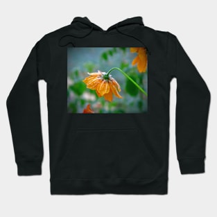 Radiant Cosmos Hoodie